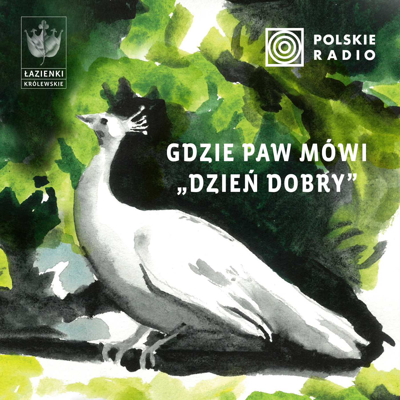 Gdzie paw mówi dzień dobry cover art
